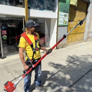 PODADORA DE ALTURA GASOLINA FORTE 26CC/41 MTS FZJ260AE_15855